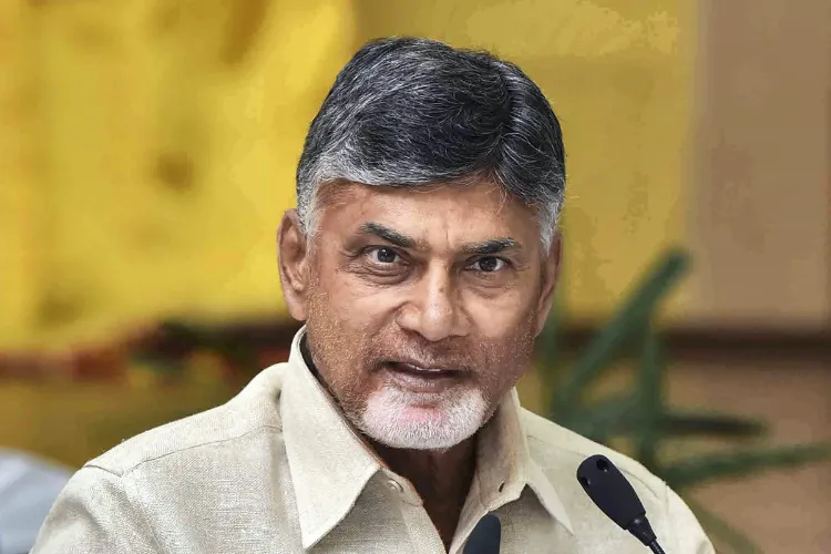 Andhra Pradesh Chief Minister N Chandrababu Naidu
