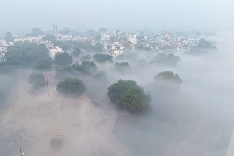 Uttar Pradesh Dense Fog
