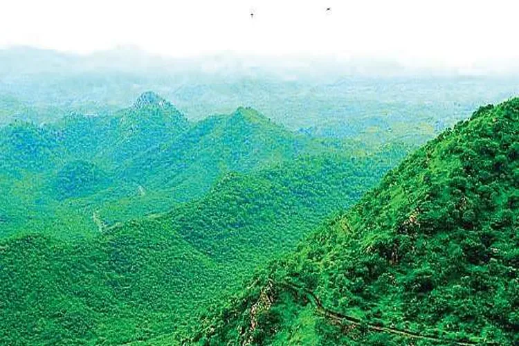 Representational Image