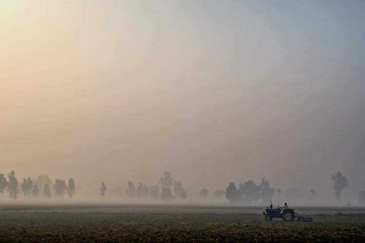 Representational Image