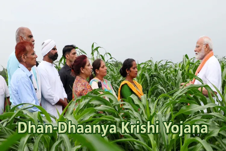 Prime Minister Dhan Dhaanya Krishi Yojana (PMDDKY)