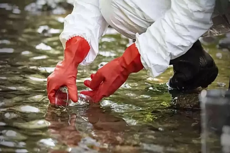 Representational Image