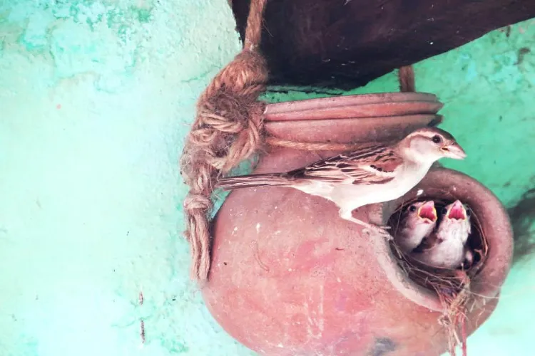 Representational image 