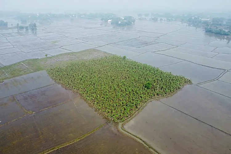 Representational Image