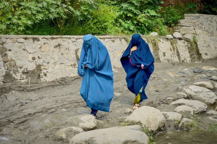 Representational Image (File)