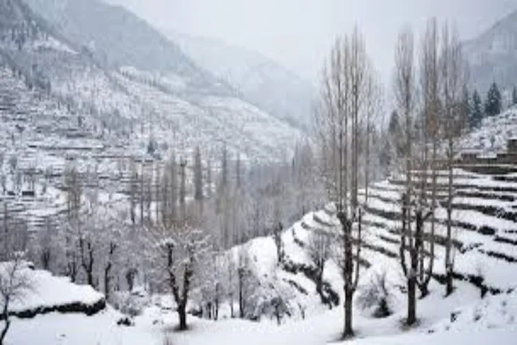 Representational Image