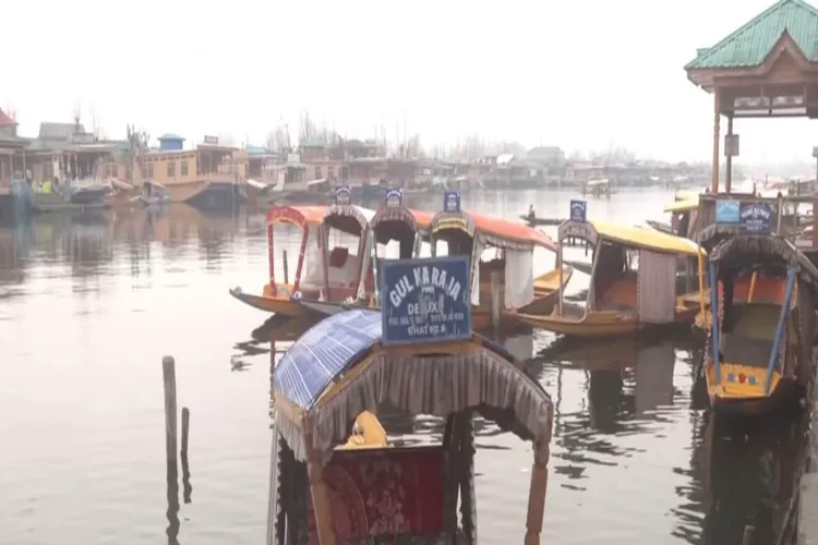 Cold wave chills Kashmir, Dal Lake charms tourists