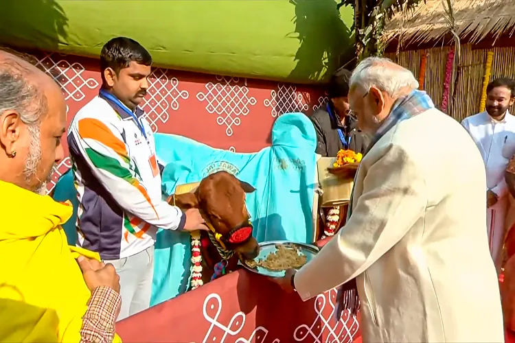 In this screengrab from a video posted on Jan. 14, 2026, Prime Minister Narendra Modi feeds a cow during the 'Pongal' festival celebration at Union Minister of State for Parliamentary Affairs L Murugan's residence, in New Delhi