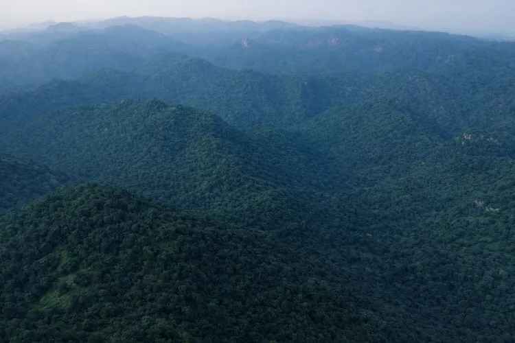 Kumbhalgarh Wildlife Sanctuary located in the Aravalli mountain range 