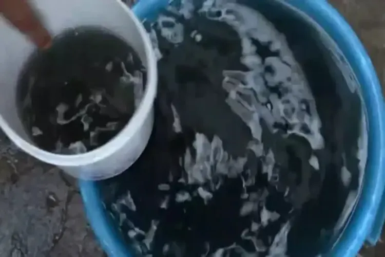 Representational Image