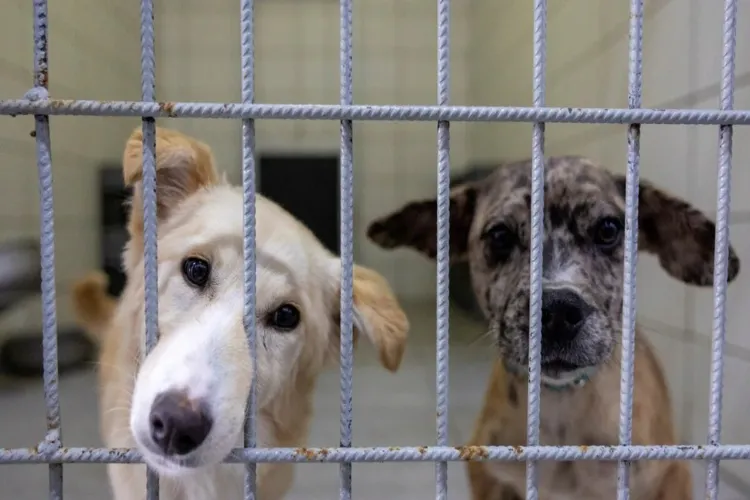 Representational Image (Photo Reuters)