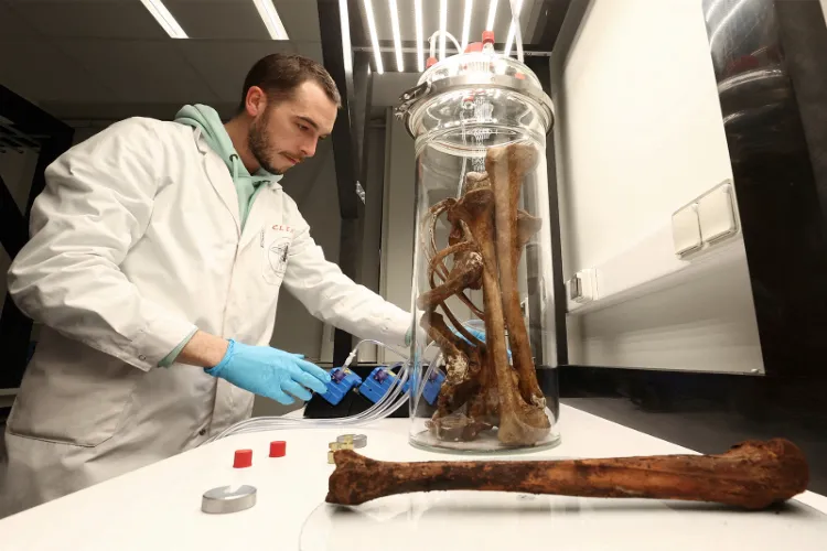 Representational Image