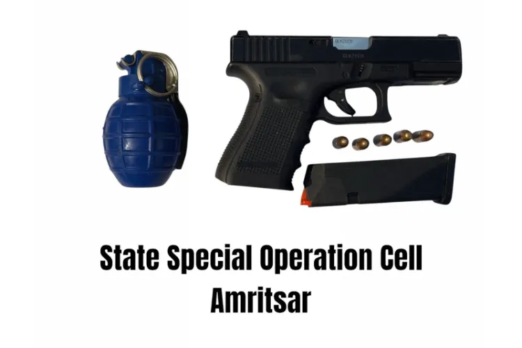 Confiscated weapons from the operative of BKI in Amritsar.