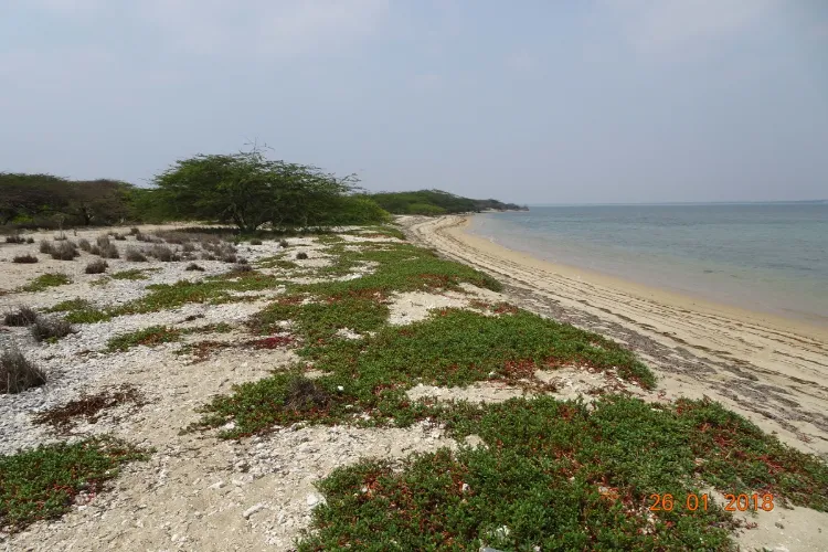 Representational Image