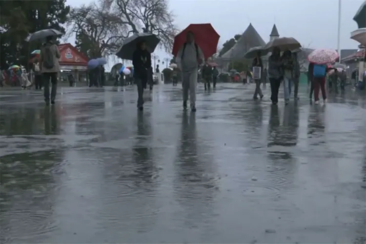 Rain lashes Shimla, tourists share mixed reactions to sudden weather change