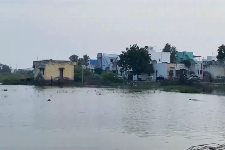 Salt production hit in Thoothukudi as rainwater stagnates
