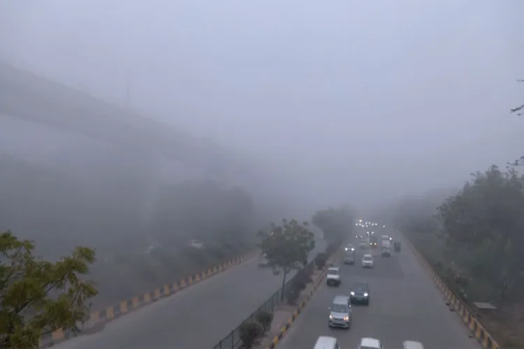 Visuals from Dhaula Kuan