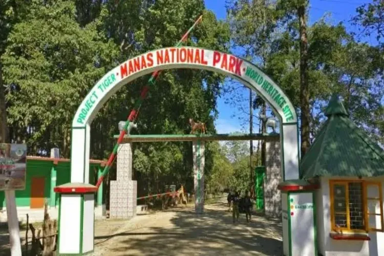 Assam's Manas National Park and Tiger Reserve