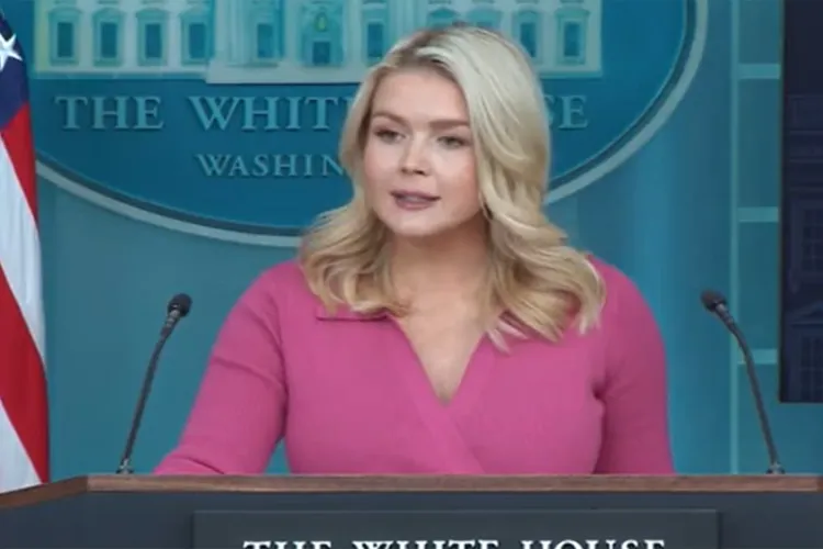 Trump administration looking into 2016 Russia interference claims: WH