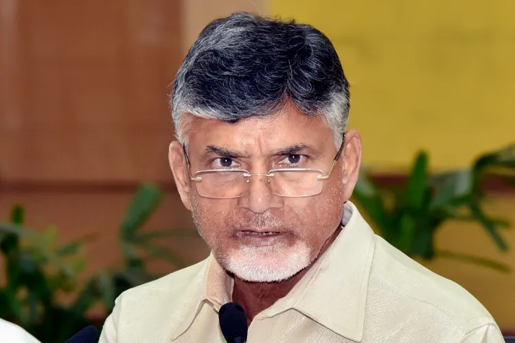 Andhra Pradesh Chief Minister N Chandrababu Naidu 