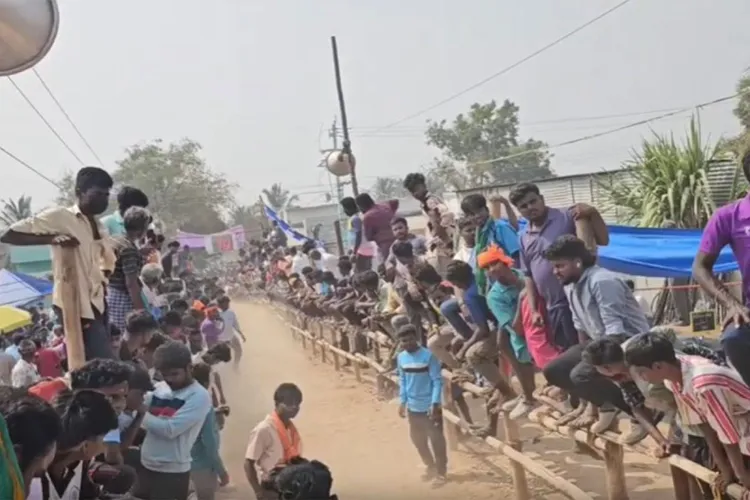 The sixth annual bull-taming festival, locally known as Eruthu Vidum, was held with great enthusiasm on Tuesday at Puthukovil village near Natrampalli in Tirupattur district.
