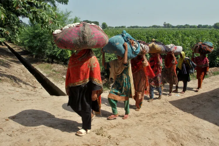 Representational Image