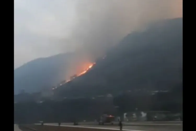 Visual from the site