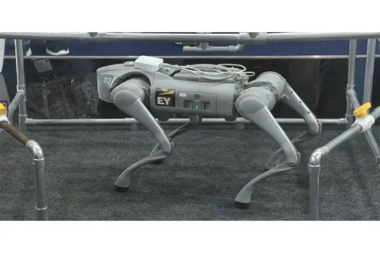 In the bustling corridors of Hall 1 at Bharat Mandapam, a nimble mechanical guest nicknamed 'Scout' has become the centre of attraction for delegates at the ongoing India AI Impact Summit 2026