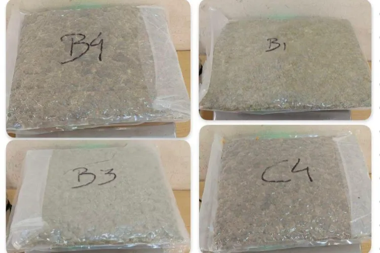 The customs seized 24 kg of hydroponic weed valued at Rs 24.3 crore 