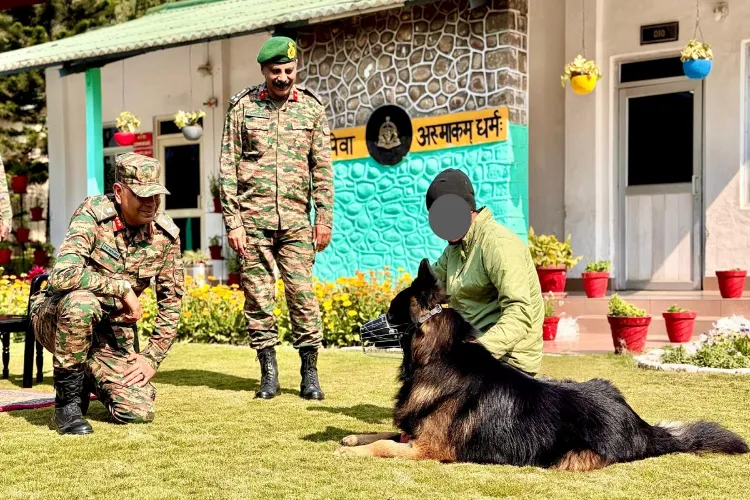 The Indian Army's White Knight Corps on Tuesday lauded the bravery of its assault dog 'Tyson'