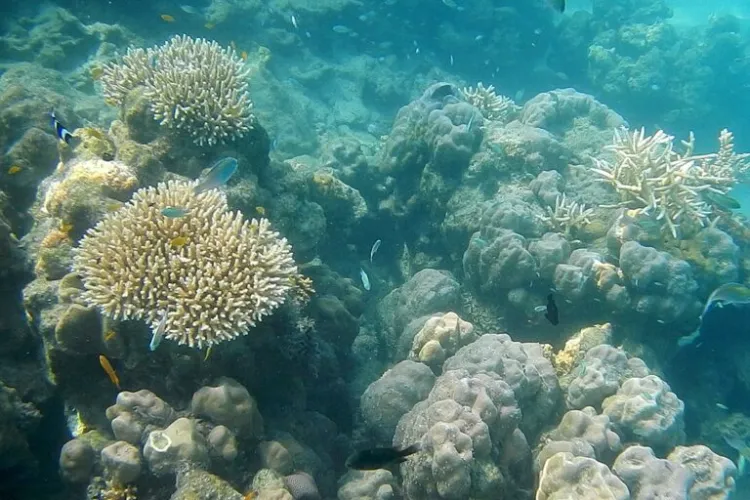 Representational Image