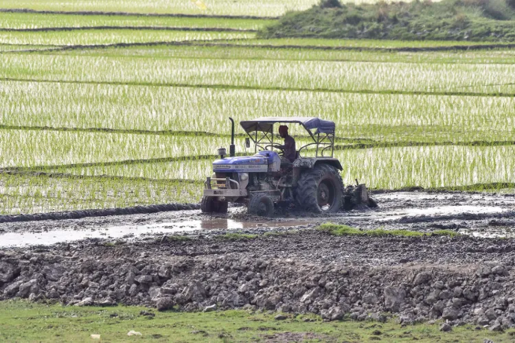 A farmer ploughs a field for paddy plantations using a power tractor