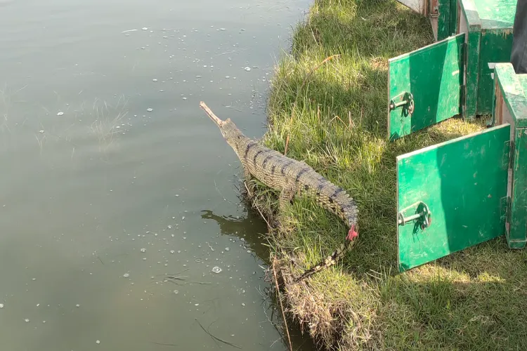 Representational Image