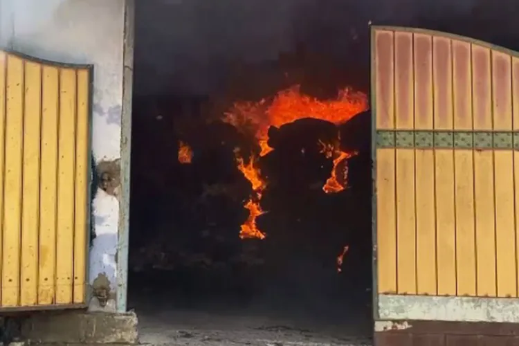 Fire breaks out at private factory in Thoothukudi