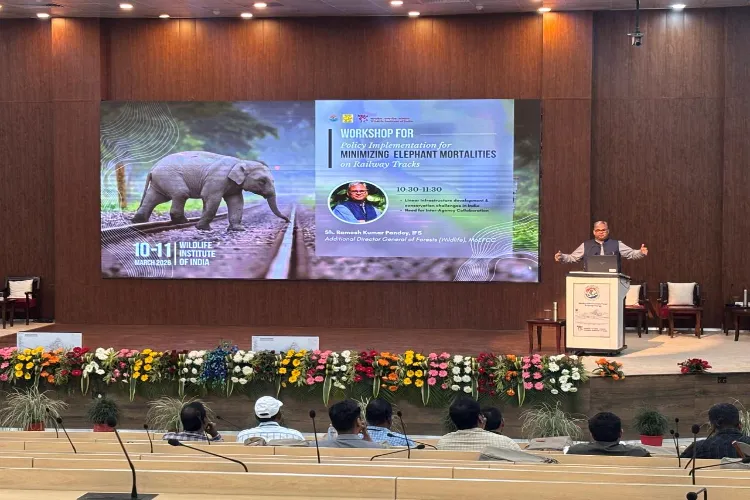 Visual from the national workshop