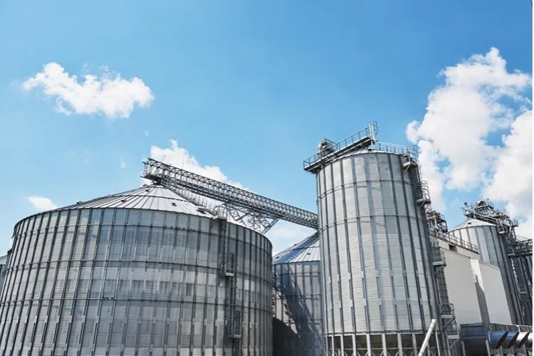 Representational Image