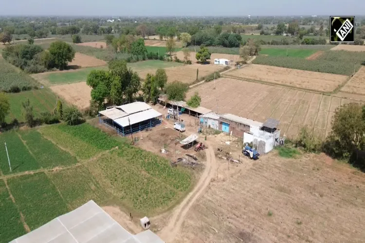  Vaccination campaign in Gujarat, Visual from a village