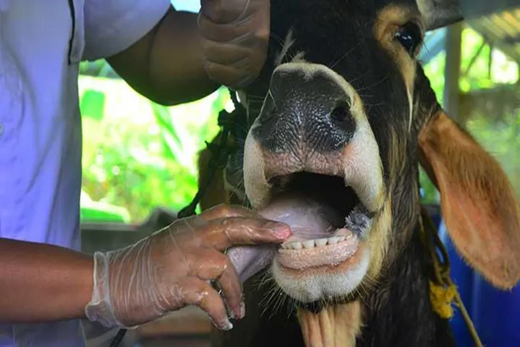 Representational Image