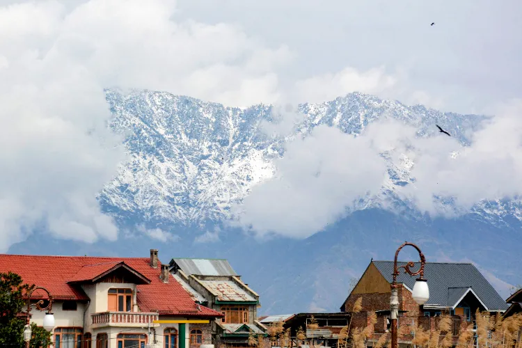 Representational Image