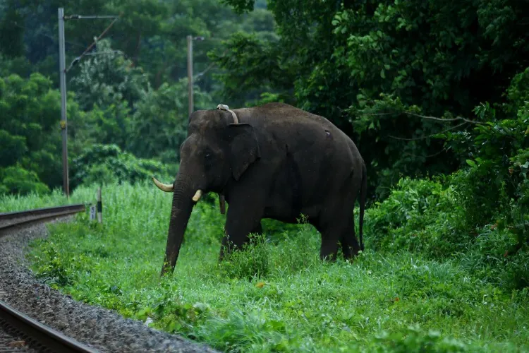 Representational Image