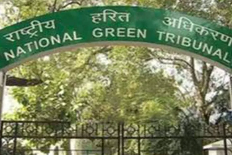 The National Green Tribunal (NGT) (Representational Image)
