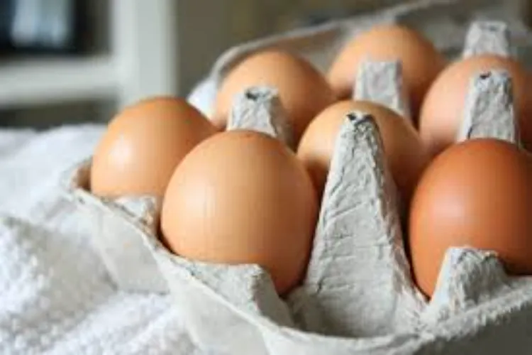 Eggs (Representational Image)