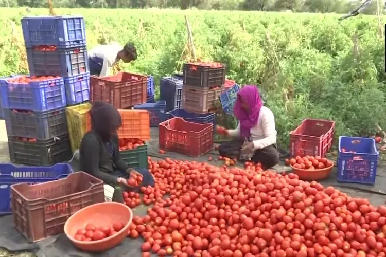 Representational Image