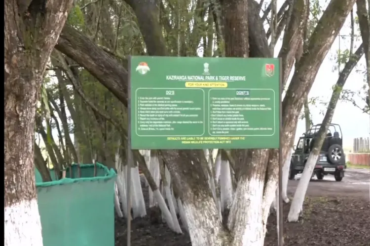 Visual from Kaziranga National Park in Assam 