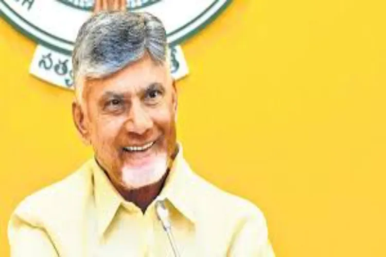 Andhra Pradesh Chief Minister N Chandrababu Naidu
