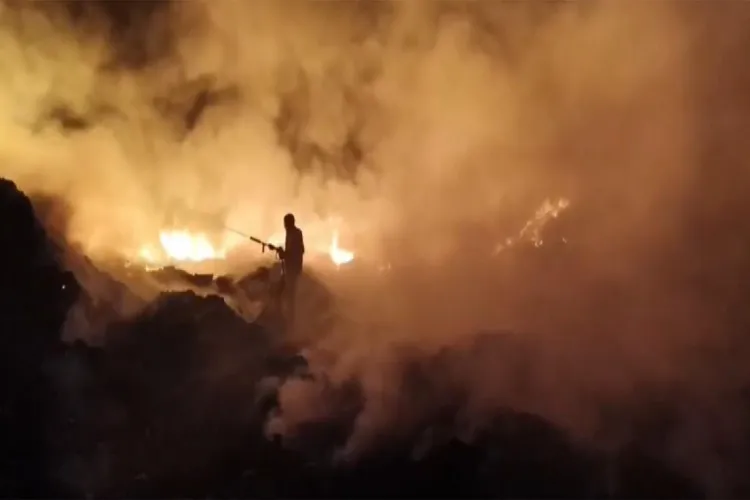 Visual from the spot