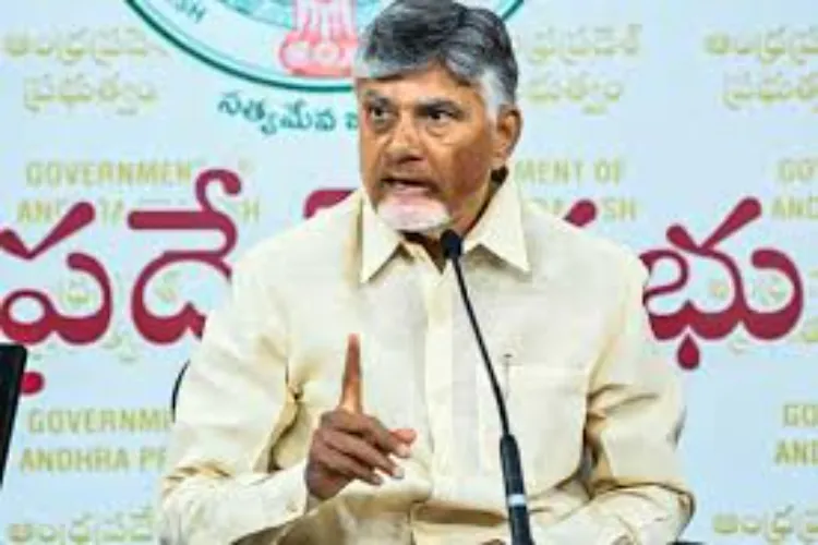 Andhra Pradesh CM N Chandrababu Naidu 