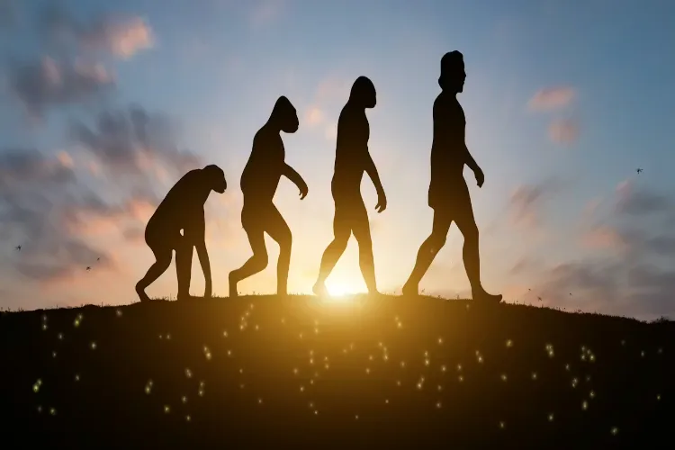 Representational Image (Photo Credit: The Conversation)