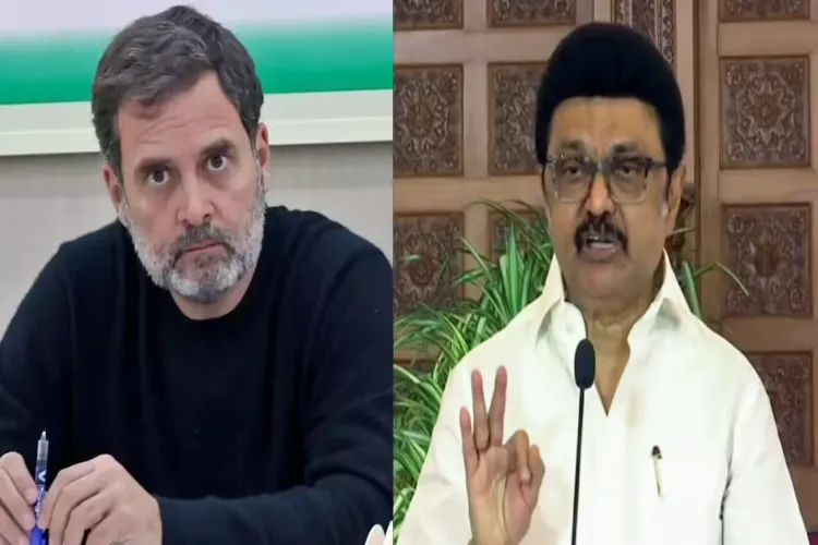 Indian National Congress leader Rahul Gandhi and M. K. Stalin 