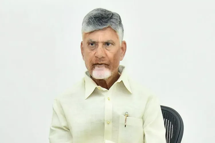 Andhra Pradesh Chief Minister N Chandrababu Naidu